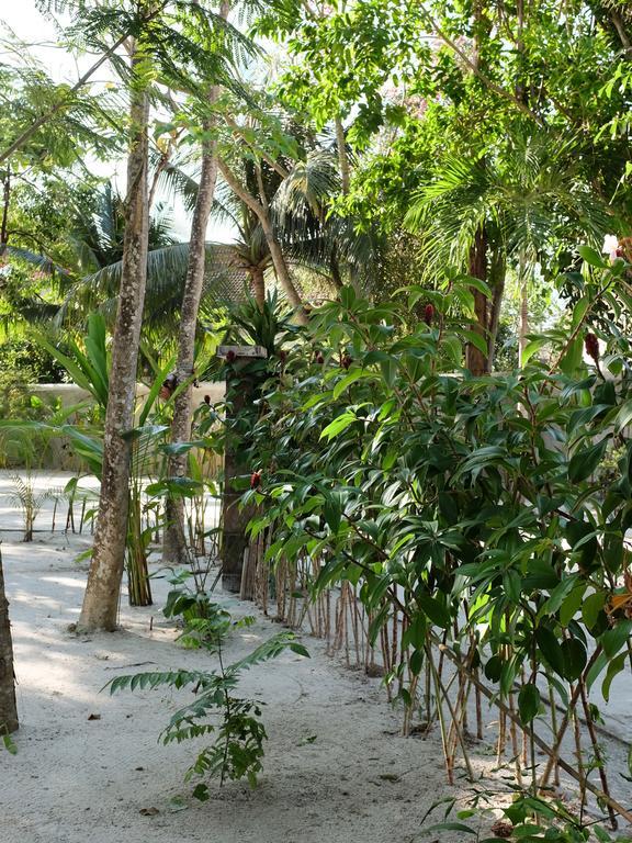 Rumah Jah Langkawi Pantai Cenang  Exterior photo
